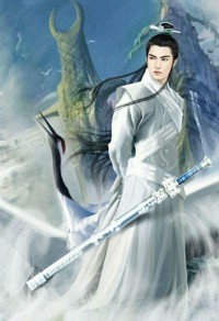 完美的她