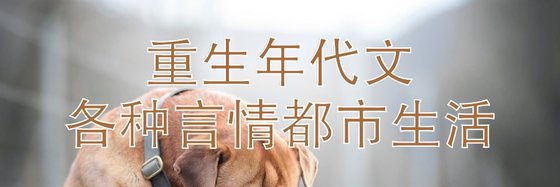 重生年代文，各种言情都市生活